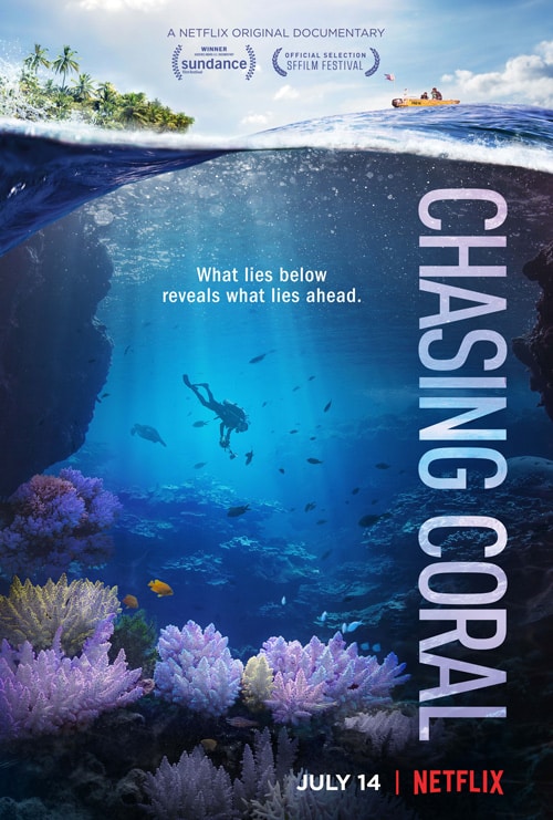 Chasing-Coral